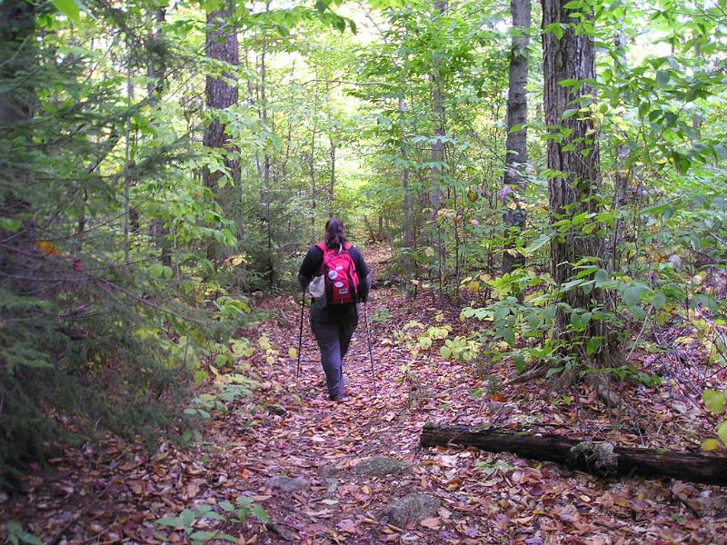 Hibbard (42).JPG - Compared to the steep trail we just descended the Old Mast Rd. was a walk in the park. We did the last 2 miles in about 40 minutes.